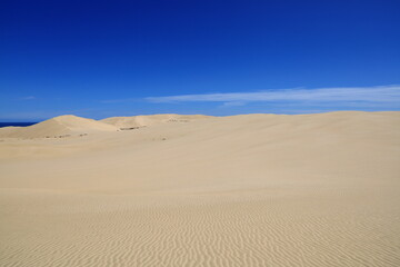 Te Paki Sand Dunes, also called the Giant Sand Dunes, are a collection of sand dunes located on the Northland Peninsula of New Zealand