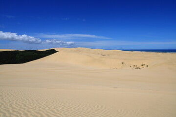 Te Paki Sand Dunes, also called the Giant Sand Dunes, are a collection of sand dunes located on the Northland Peninsula of New Zealand