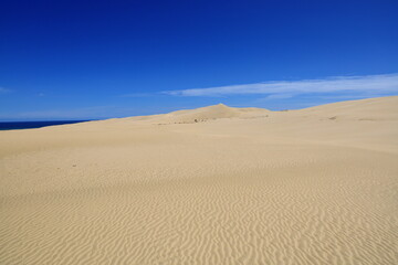 Te Paki Sand Dunes, also called the Giant Sand Dunes, are a collection of sand dunes located on the Northland Peninsula of New Zealand