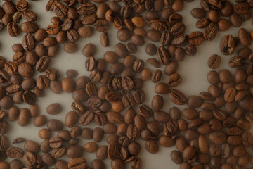 Deeply roasted coffee beans scattered across a surface in warm tones