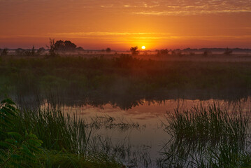 Fototapeta premium Beautiful river Desna in Ukraine