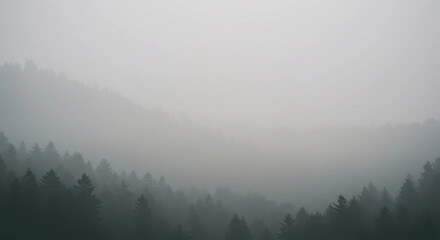 Naklejka premium A foggy mountain range covered in evergreen trees view