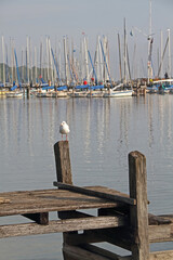 a jetty on Lake Ammersee in Bavaria with sailing boats and a seagull