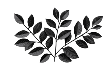 Black branch with leaves on a transparent background for decor