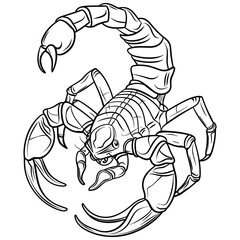 Detailed Scorpion Line Art Illustration