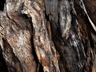close up wood texture background, natural abstract wood texture background