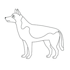 Vector flat hand drawn outline shepherd dog isolated on white background