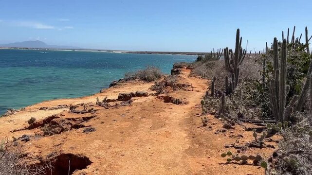 Tropical, exotic views and lots of cacti on the Venezuelan island of Cubagua