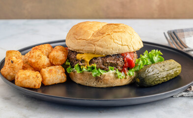 hamburger  with tater tots  and pickle