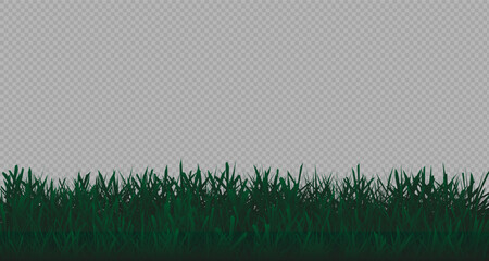 Grass border, vector, illustration. Vector image of grass, lawn. Grass and lawn in PNG format. Green grass with sunny, bright highlights.