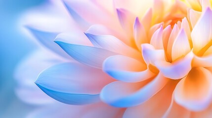 Delicate pastel-colored lotus flower petals radiating soft hues against a serene background