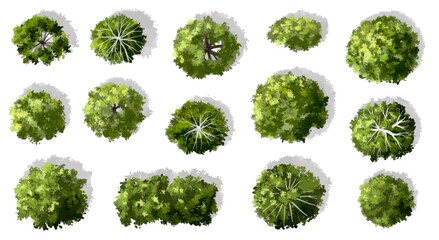 Vector set of Top view green tree for outdoor plan or map and architecture drawing, elements for environment and garden ,botanical elements ,Blooming flowers in spring,tropical plants element