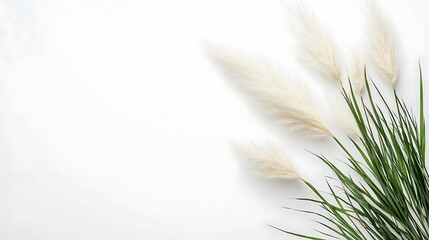 Pampas Grass and Green Blades on a White Background: A Natural Flat Lay AI Generated