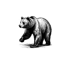 Bear Silhouette. 