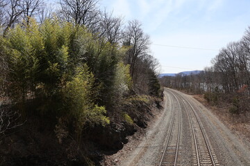Railway along a cliffside in the wilderness.