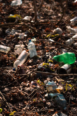 garbage in the forest among fallen leaves. natural landfill. garbage in nature. clean planet.