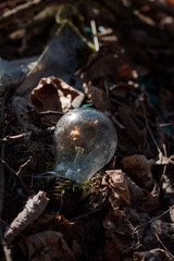 garbage in the forest among fallen leaves. natural landfill. garbage in nature. clean planet. light bulb close-up