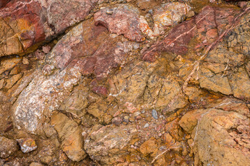 Colorful sedimentary rock surface with layers of brown and red