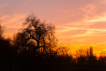Sunset near Mamming, Isar, Dingolfing-Landau, Bavaria, Germany