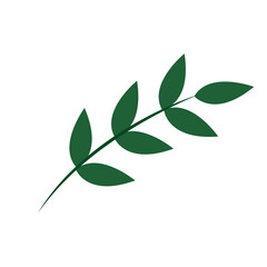 Isolated colored autumn winter leaf icon Vector