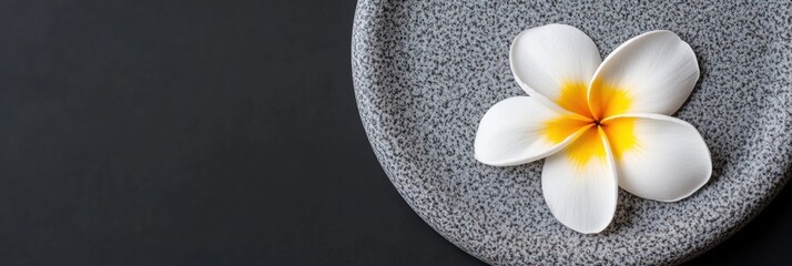 Minimalist Zen Wellness Tropical Plumeria Blossom on Textured Gray Ceramic - Luxury Spa Aesthetic for Mindful Lifestyle Branding and Tranquil Visual Storytelling