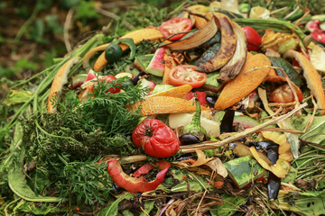 Compost pile, compost heap close-up background texture. Bio waste, different vegetables, grass and...