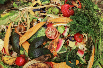 Compost pile, compost heap close up background texture. Bio waste, different vegetables, grass and...