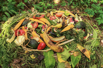 Compost pile, compost heap in garden close-up in sunlight. Bio waste, different vegetables, grass...