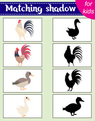 Obraz premium Brainteaser for kids. Educational cards. Farm animals. Rooster and goose. Find the correct shadow. Activity for preschoolers and toddlers.