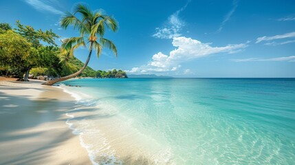 Fototapeta premium Explore a tropical paradise with white sand beaches and turquoise waters on a sunny day