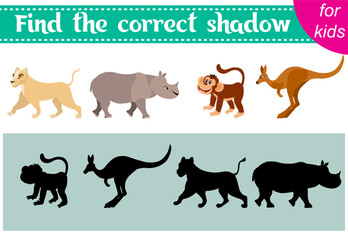 Brainteaser for kids. Zoo animals. Rhinoceros, kangaroo, lioness and monkey. Find the correct shadow. Educational cards. Activity for preschoolers and toddlers.