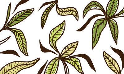 leaves pattern illustration .eps