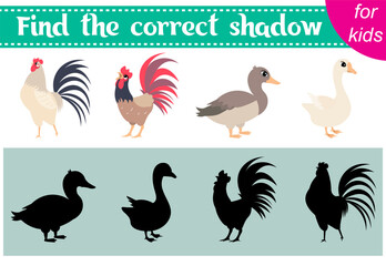 Brainteaser for kids. Farm animals. Rooster and goose. Find the correct shadow. Educational cards. Activity for preschoolers and toddlers.