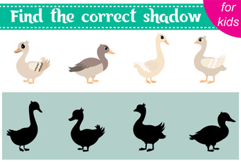 Brainteaser for kids. Farm animals. Goose and duck. Find the correct shadow. Educational cards. Activity for preschoolers and toddlers.