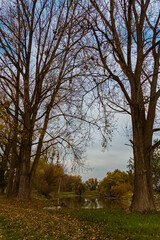 Obraz premium Autumn or indian summer view near Thundorf, Osterhofen, Deggendorf, Bavaria, Germany