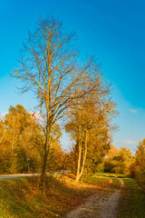 Autumn or indian summer view at Landau an der Isar, Dingolfing-Landau, Bavaria, Germany