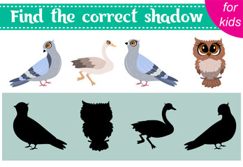 Brainteaser for kids. Zoo animals. Pigeon, goose and owl. Find the correct shadow. Educational cards. Activity for preschoolers and toddlers.