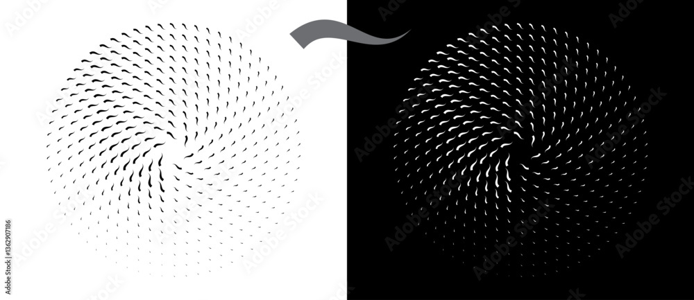 Poster Modern abstract background. Waves in circle form. Round logo or icon, design element. Black shape on a white background and the same white shape on the black side.