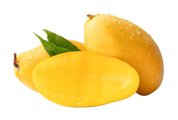 Two ripe yellow mango fruits and half with green leaves and water droplets in stack isolated with clipping path in png file format
