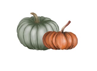 A digital illustration of two pumpkins—one muted green and the other deep orange—set against a white background. The shading and texture create a soft, realistic appearance, evoking an autumnal mood