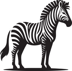 zebra vector illustration