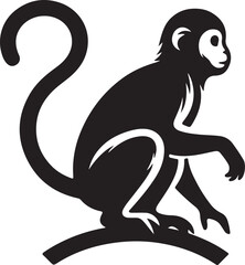 silhouette of a monkey