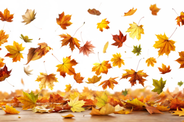  autumn leaves falling  isolated on white background PNG,AI GENERATED