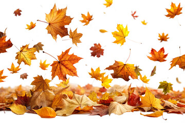  autumn leaves falling  isolated on white background PNG,AI GENERATED