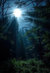 Obraz premium Silver moonlight bathes a tranquil forest, shadows long and deep, leaves shimmering subtly, backdrop, full moon, natural