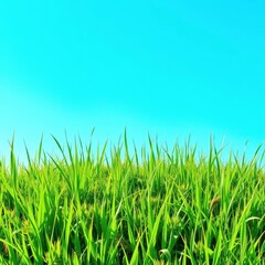 Fototapeta premium Vibrant green grass patch set against a clear blue sky, colorful, natural, element