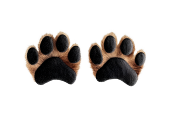 Dog paws