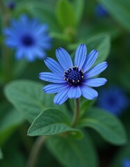 A close up of a blue flower with green leaves