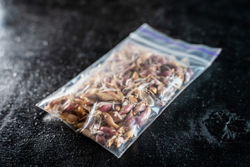 Onion seeds close-up on dark background. Preparing for the gardening season