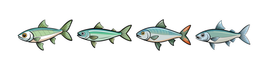 Set of Lovely Alewife Fish Colorful Design Creation
